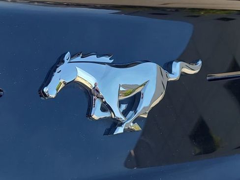 Used 2019 Ford Mustang Premium w/ Equipment Group 201A image 34