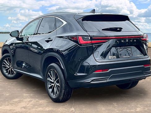 Used 2024 Lexus NX 250 FWD image 6