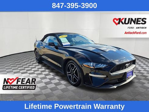 Certified 2022 Ford Mustang Premium image 9