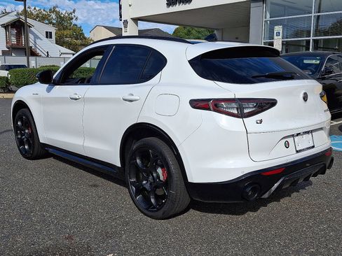New 2025 Alfa Romeo Stelvio Sprint image 4