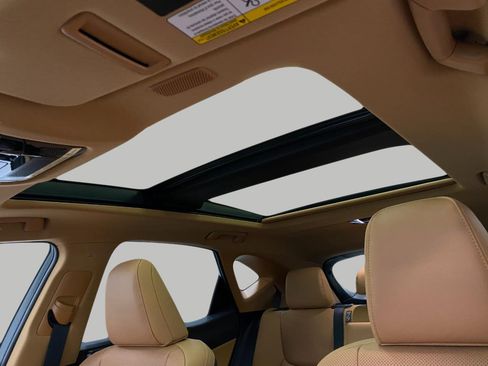 New 2026 Lexus NX 350h AWD w/ Luxury Package image 31