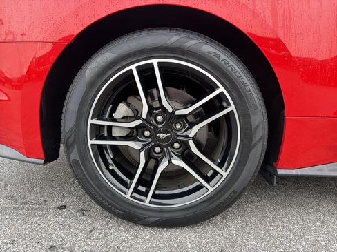 Used 2019 Ford Mustang Premium image 18