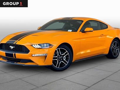 Used 2019 Ford Mustang Premium w/ Equipment Group 201A