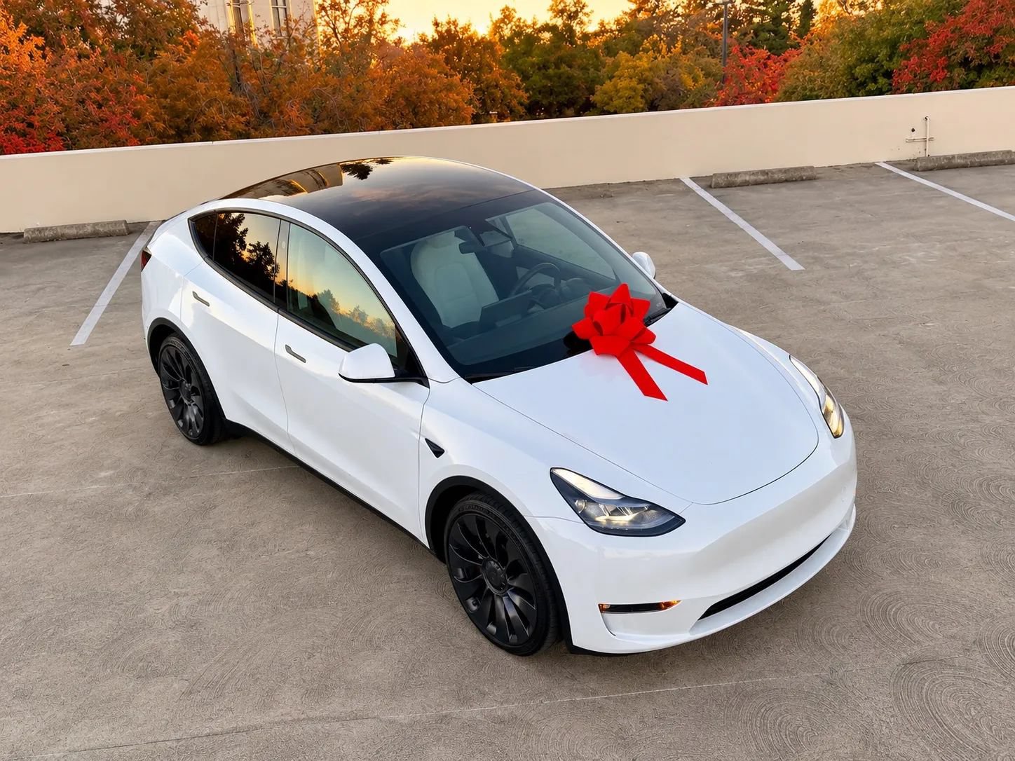 Used 2024 Tesla Model Y Long Range AWD/4WD image 1