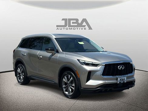 Used 2023 INFINITI QX60 Luxe w/ Cargo Package AWD/4WD image 1