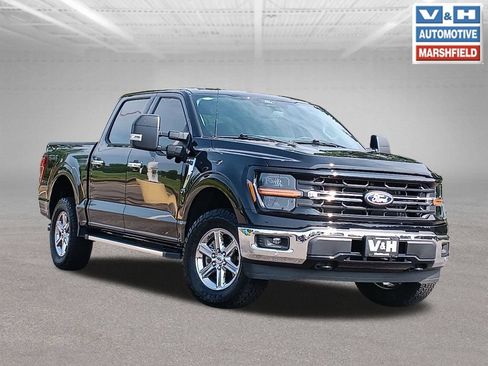 Used 2024 Ford F150 XLT w/ Equipment Group 302A MID AWD/4WD image 1