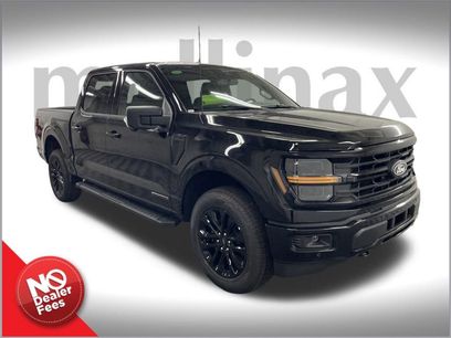 New 2025 Ford F150 XLT w/ Equipment Group 302A MID