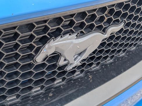 Used 2019 Ford Mustang GT Premium w/ Equipment Group 401A image 10