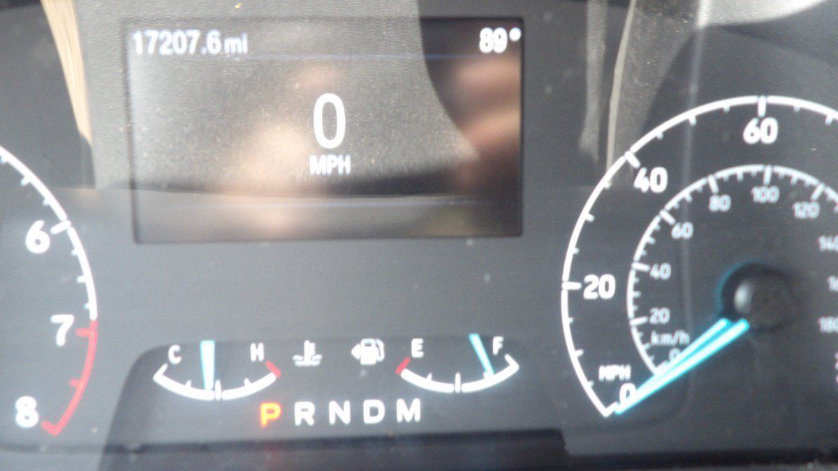 Used 2025 Ford Transit 250 Low Roof w/ Exterior Upgrade Package RWD image 14