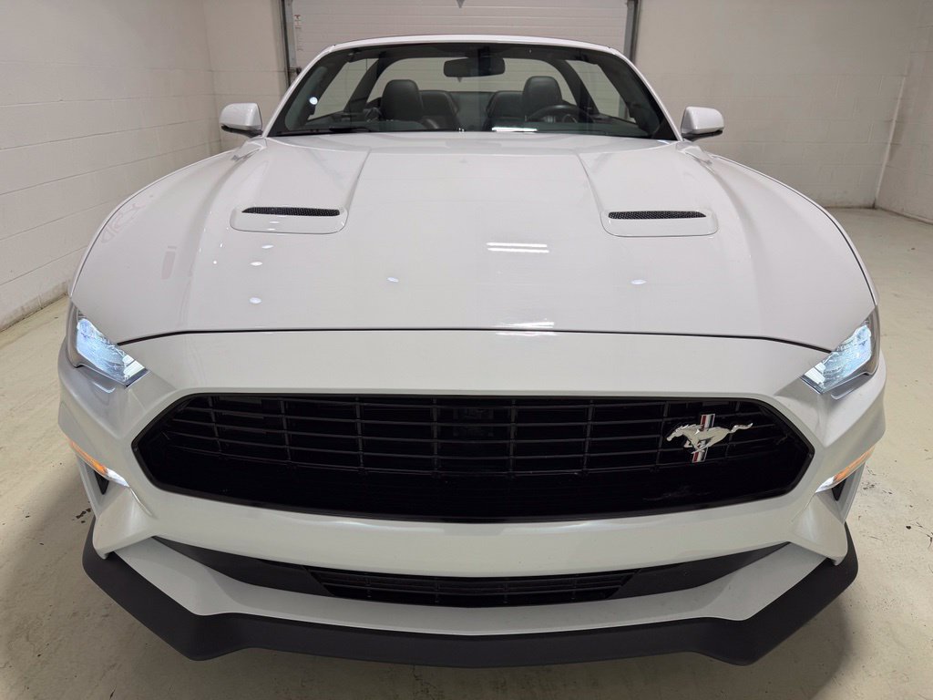 Used 2019 Ford Mustang GT Premium w/ California Special Package RWD image 14
