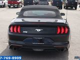 Used 2018 Ford Mustang Premium image 6