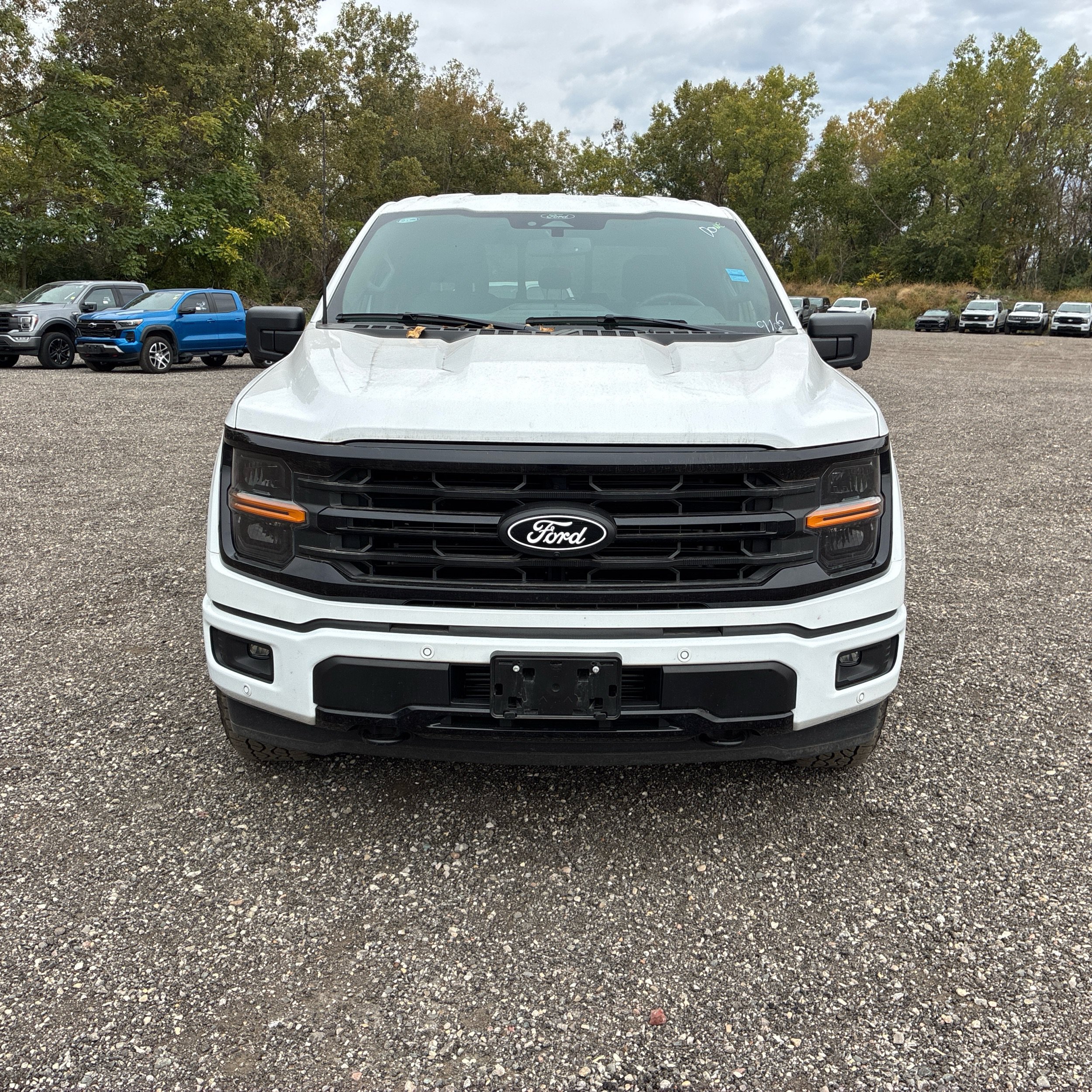 Used 2024 Ford F150 XLT w/ Equipment Group 302A MID AWD/4WD image 2