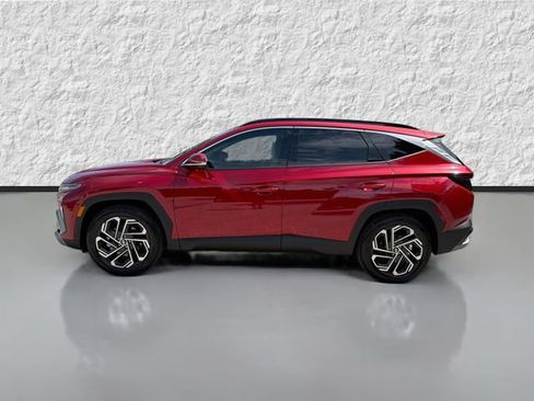 Used 2026 Hyundai Tucson Limited FWD image 6