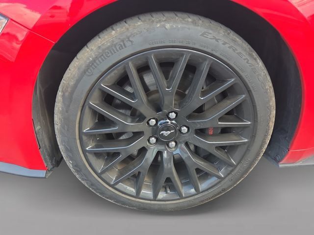 Used 2019 Ford Mustang GT Premium w/ GT Performance Package RWD image 38