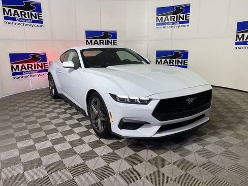 Used 2024 Ford Mustang Premium RWD image 1