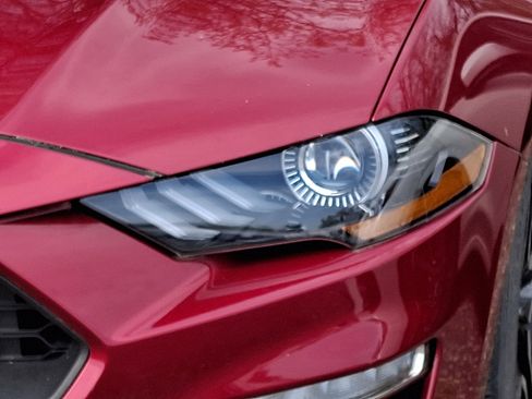 Used 2019 Ford Mustang Coupe w/ Equipment Group 101A image 4