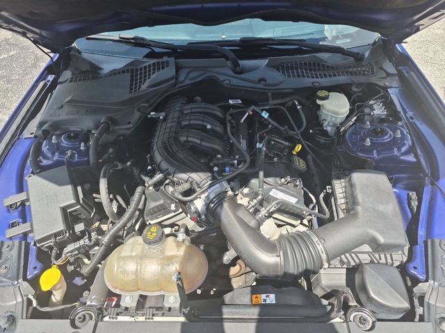 Used 2016 Ford Mustang Coupe w/ Equipment Group 051A RWD image 27