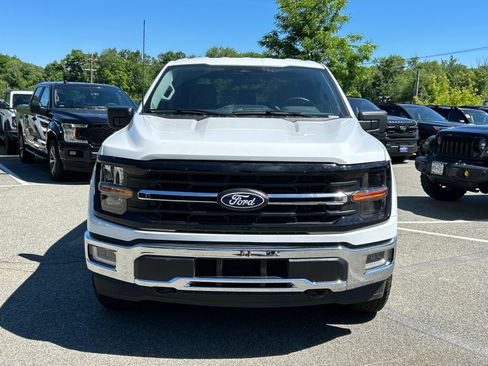 Used 2025 Ford F150 XLT w/ Equipment Group 301A Standard AWD/4WD image 2
