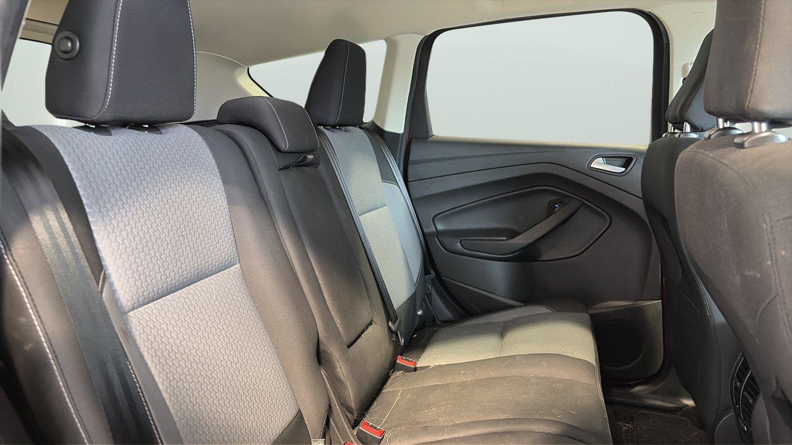 Used 2019 Ford Escape SE AWD/4WD image 15