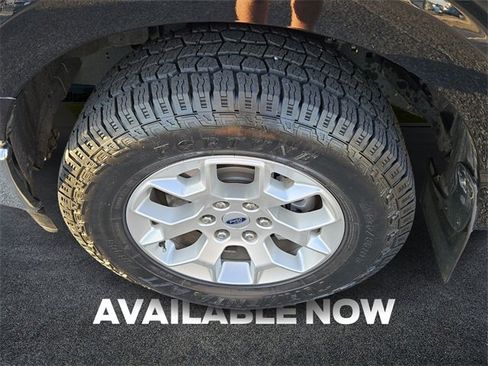 Used 2023 Ford F150 XLT w/ Equipment Group 301A Mid image 9