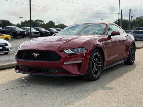 Used 2019 Ford Mustang Coupe w/ Equipment Group 101A RWD image 2
