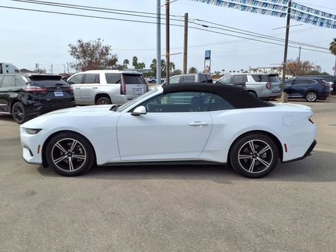 Used 2025 Ford Mustang Premium image 4