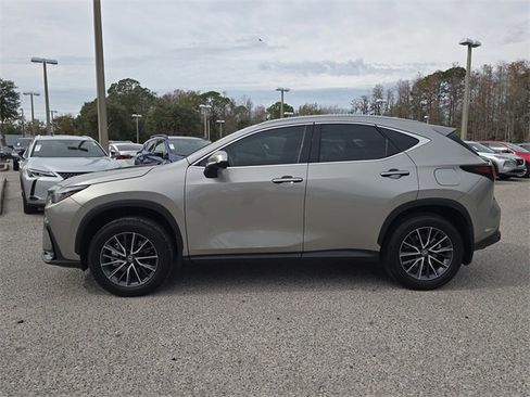 Used 2024 Lexus NX 250 FWD image 5