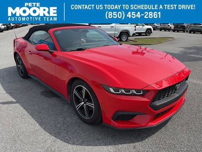 Used 2024 Ford Mustang Premium