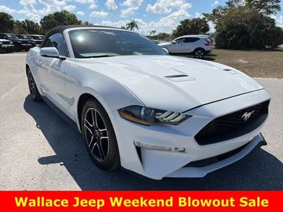 Used 2019 Ford Mustang Premium