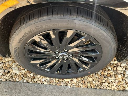 New 2025 Hyundai Palisade Calligraphy image 5