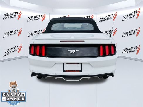 Used 2017 Ford Mustang Premium w/ Equipment Group 201A image 16