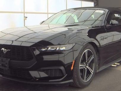 Used 2025 Ford Mustang Premium