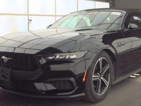 Used 2025 Ford Mustang Premium image 1