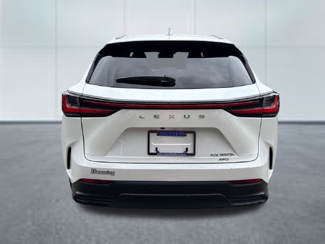 Used 2024 Lexus NX 350h AWD image 3