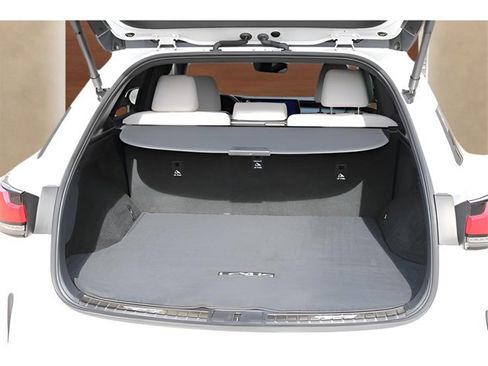 Used 2023 Lexus RX 350 Premium Plus w/ Cold Area Package image 17