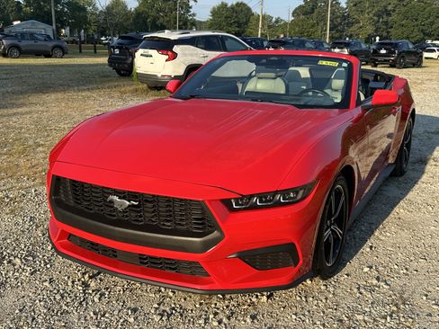 Used 2025 Ford Mustang Premium RWD image 1