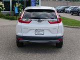 Used 2019 Honda CR-V EX-L image 6