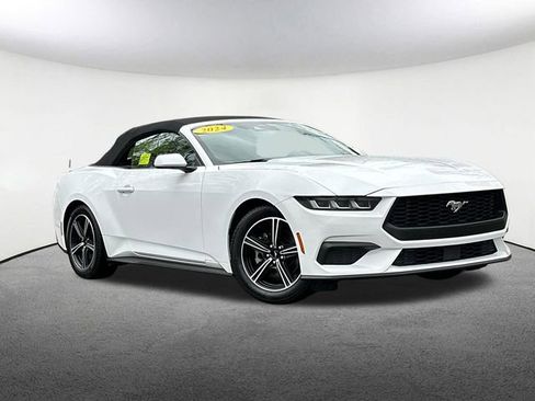 Used 2024 Ford Mustang Premium RWD image 2