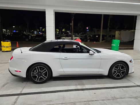 Used 2018 Ford Mustang Premium w/ Equipment Group 201A image 7