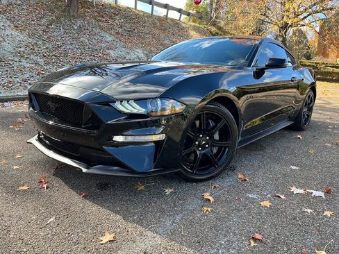 Used 2019 Ford Mustang GT Premium w/ Equipment Group 401A image 46