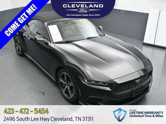 Used 2024 Ford Mustang Premium RWD 360° Tour