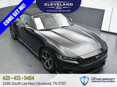 Used 2024 Ford Mustang Premium