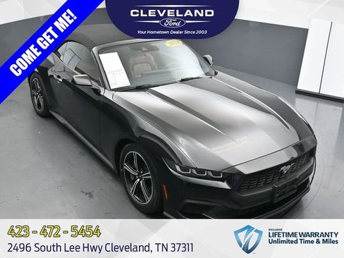 Used 2024 Ford Mustang Premium RWD image 1