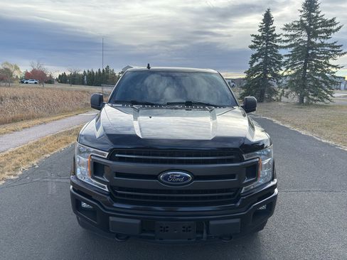 Used 2019 Ford F150 XLT w/ Equipment Group 302A Luxury image 3