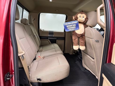 Used 2019 Ford F150 XLT w/ Equipment Group 302A Luxury AWD/4WD image 25