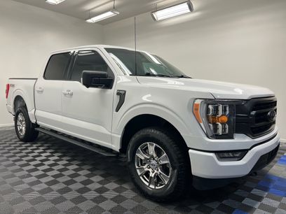 Used 2023 Ford F150 XLT w/ Equipment Group 302A High