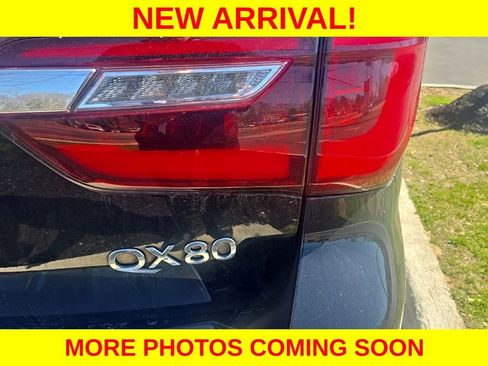 Used 2019 INFINITI QX80 Luxe w/ 22" Wheel Package image 11
