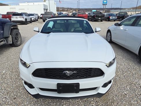 Used 2017 Ford Mustang Premium image 2