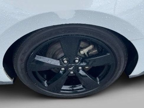 Used 2023 Ford Mustang GT Premium w/ Mustang Nite Pony Package RWD image 5