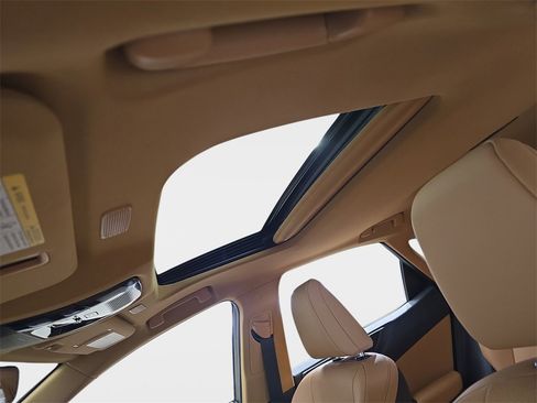 Certified 2025 Lexus NX 350 350h Base image 33